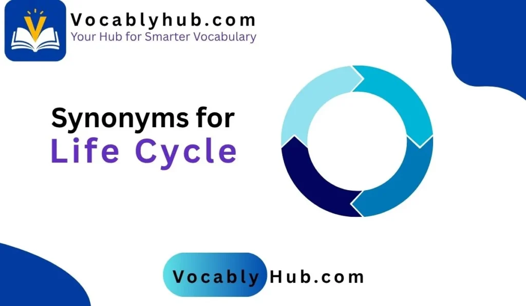 synonyms for life cycle